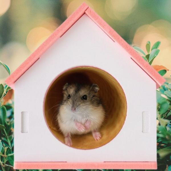 Imagem de Casinha Toca Pet Hamster Mundo Roedor Estímulo Mouse Luxo