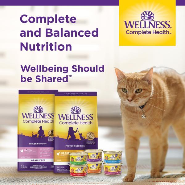 Imagem de Cat Food Wellness Complete Health Salmão sem grãos 5,2 kg