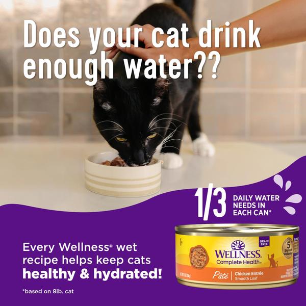 Imagem de Cat Food Wellness Complete Health, sem grãos, 3 onças x 24