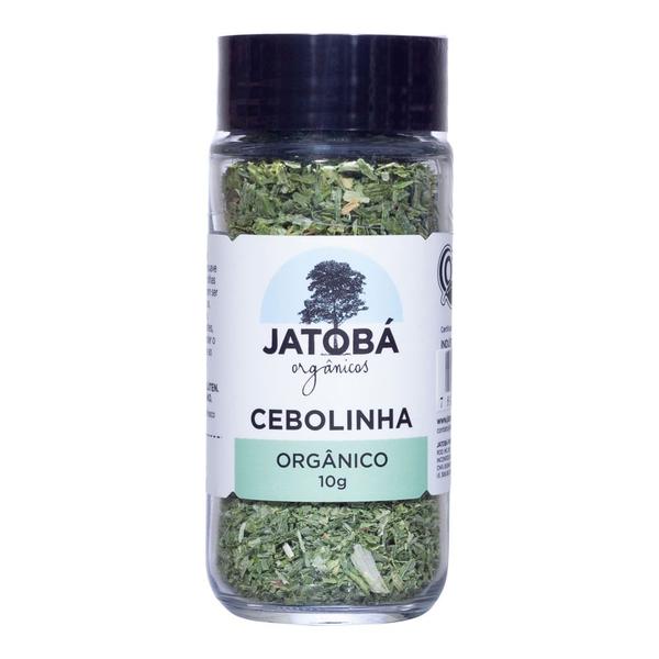 Cebolinha Orgânica Jatobá 10g Imagem de Cebolinha Orgânica Jatobá 10g
