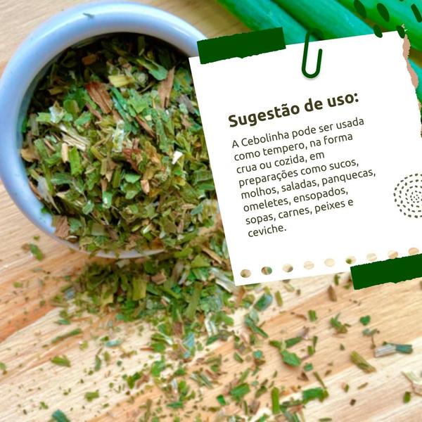 Cebolinha Verde Desidratada 50g Raiz e Sabor Imagem de Cebolinha Verde Desidratada 50g Raiz e Sabor
