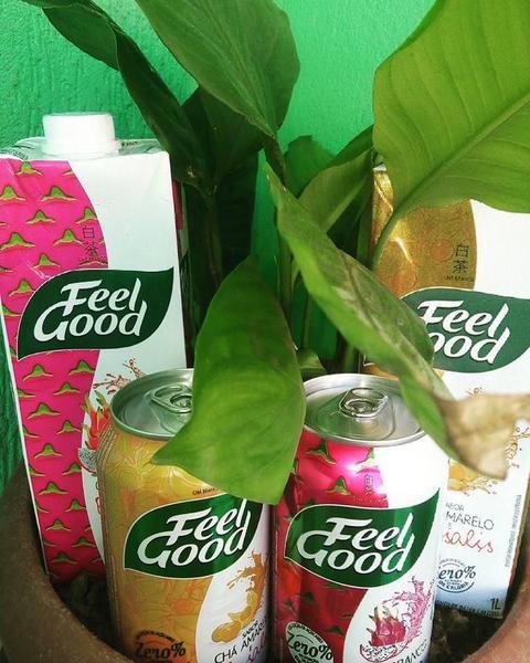 Imagem de Chá Branco Com Pitaya Feel Good 330Ml (6 Latas)