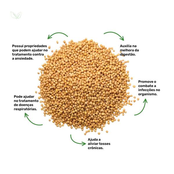 Chá de Amaranto Semente Amarantus Cruentus - 100g - Grupo Rocha Saúde Imagem de Chá de Amaranto Semente Amarantus Cruentus - 100g