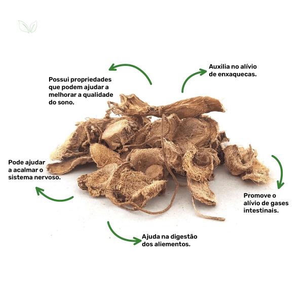 Chá de Angélica - Angelica sylvestris L. - 100g - Rocha Saúde Imagem de Chá de Angélica - Angelica sylvestris L. - 100g