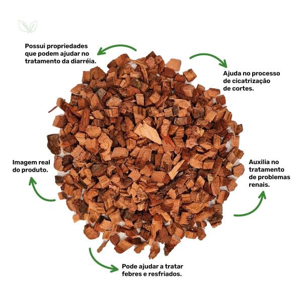 Imagem de Chá De Carvalho Inglês - Quercus Robur L. - 100G