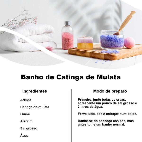 Imagem de Chá De Catinga De Mulata - Tanacetum Vulgare L. - 100G