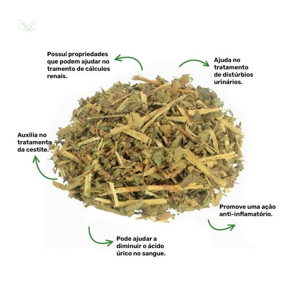 Chá de Cipó Cabeludo- Mikania Hirsutissima - D. C. - 50g - Grupo Rocha Saúde Imagem de Chá de Cipó Cabeludo- Mikania Hirsutissima - D. C. - 50g