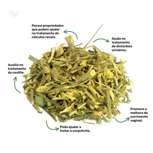 Chá de Cipó Cruz - Chiococca Alba - 100g - Grupo Rocha Saúde Imagem de Chá de Cipó Cruz - Chiococca Alba - 100g