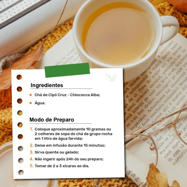 Chá de Cipó Cruz - Chiococca Alba - 100g - Grupo Rocha Saúde Imagem de Chá de Cipó Cruz - Chiococca Alba - 100g