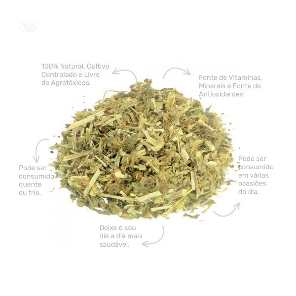 Chá de Equinácea - Echinacea Purpurea L. - 100 - Rocha Saúde Imagem de Chá de Equinácea - Echinacea Purpurea L. - 100