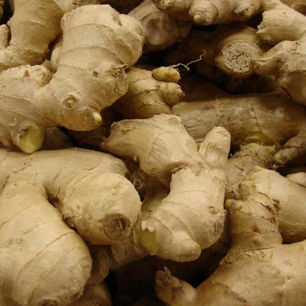 Imagem de Chá De Gengibre - Zingiber Officinalis Roscoe - 100G