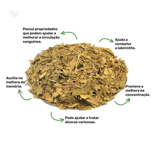 Chá de Ginkgo Biloba - Ginkgo biloba L. - 100g - Rocha Saúde Imagem de Chá de Ginkgo Biloba - Ginkgo biloba L. - 100g