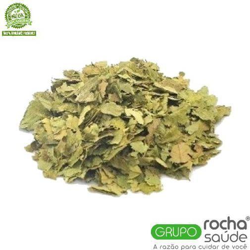 Chá De Graviola 100 Gramas - Grupo Rocha Saúde Imagem de Chá De Graviola 100 Gramas