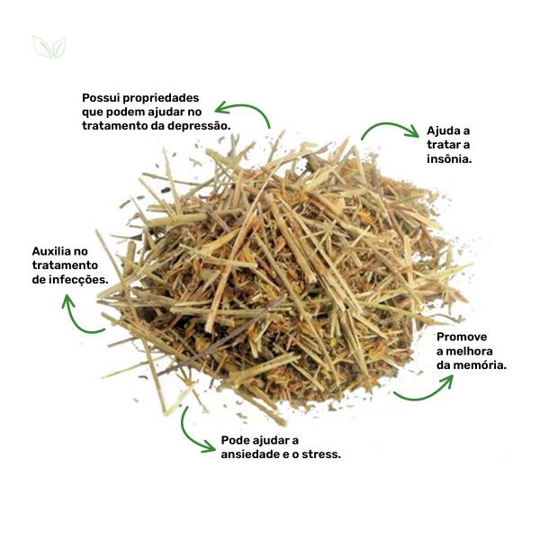 Chá de Hipérico - Erva de São João - Hypericum Perforatum L. - 50g - Rocha Saúde Imagem de Chá de Hipérico - Erva de São João - Hypericum Perforatum L. - 50g