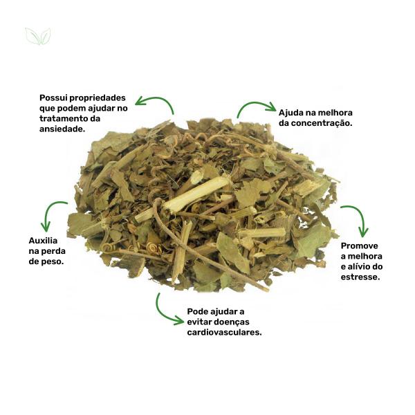 Chá de Maracujá - Passiflora alata Dryander - 100g - Rocha Saúde Imagem de Chá de Maracujá - Passiflora alata Dryander - 100g