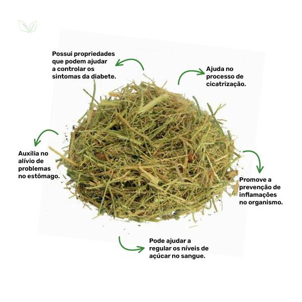 Chá de Melão de São Caetano - Momordica Charantia L. - 100g - Rocha Saúde Imagem de Chá de Melão de São Caetano - Momordica Charantia L. - 100g