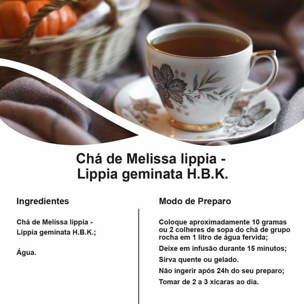 Imagem de Chá De Melissa Lippia - Lippia Geminata H.B.K. - 100G