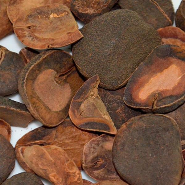 Chá De Nóz De Cola - Cola Nitida Ventenat - 100G - Grupo Rocha Saúde Imagem de Chá De Nóz De Cola - Cola Nitida Ventenat - 100G