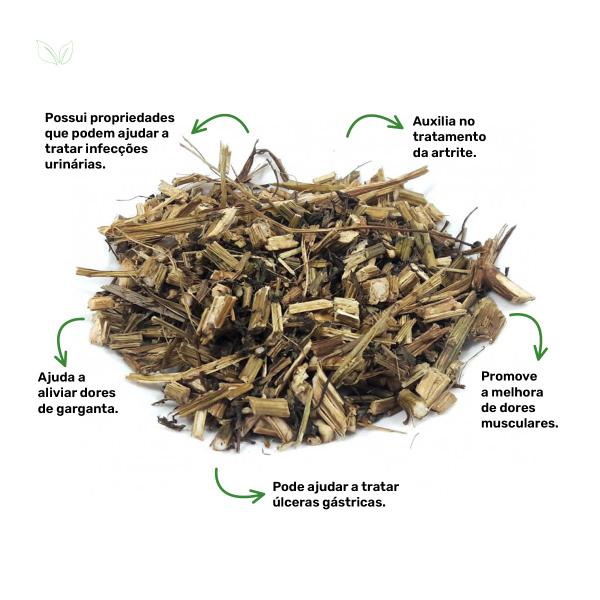 Chá de Picão Preto - Bidens pilosa - 100g - Rocha Saúde Imagem de Chá de Picão Preto - Bidens pilosa - 100g
