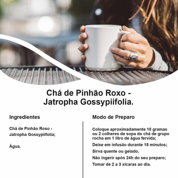 Imagem de Chá De Pinhão Roxo - Jatropha Gossypiifolia - 100G