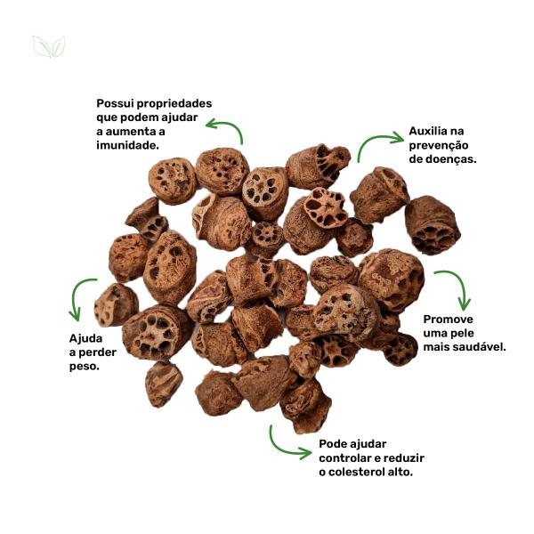 Chá de Raíz de Lótus - Nelumbo Nicifera Gaertn. - 50g - Grupo Rocha Saúde Imagem de Chá de Raíz de Lótus - Nelumbo Nicifera Gaertn. - 50g