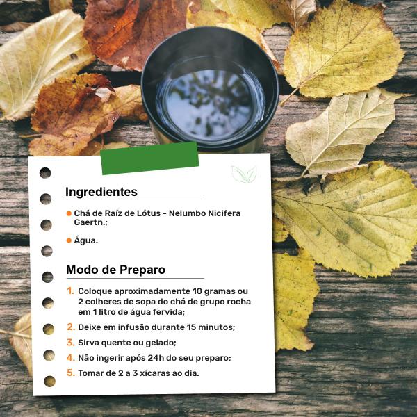 Chá de Raíz de Lótus - Nelumbo Nicifera Gaertn. - 50g - Grupo Rocha Saúde Imagem de Chá de Raíz de Lótus - Nelumbo Nicifera Gaertn. - 50g