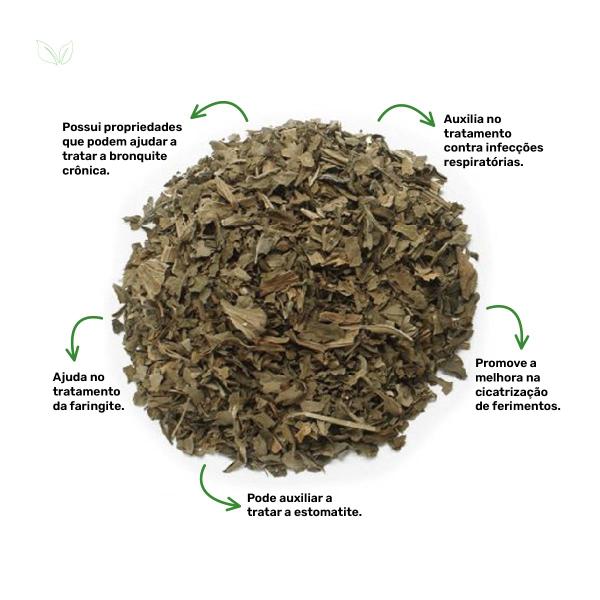 Chá de Tanchagem - Plantago major L. - 100g - Rocha Saúde Imagem de Chá de Tanchagem - Plantago major L. - 100g