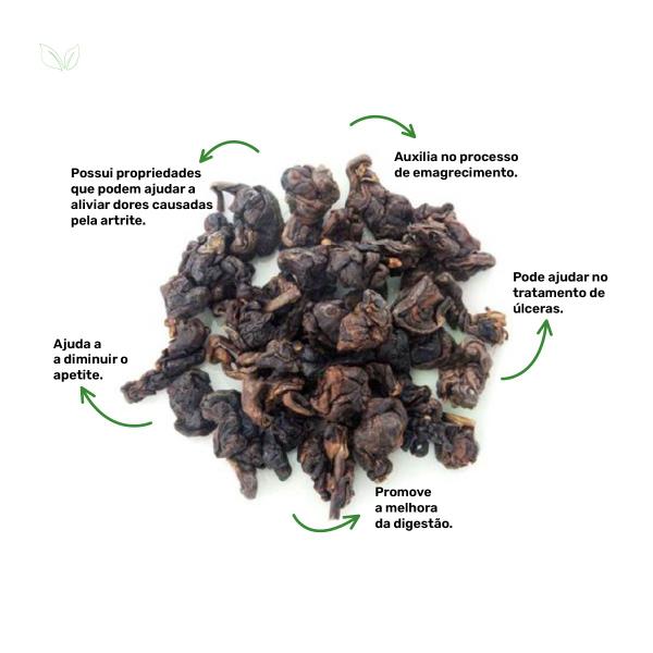 Chá Garcínia - Garcinia cambogia Desr - 100g - Rocha Saúde Imagem de Chá Garcínia - Garcinia cambogia Desr - 100g