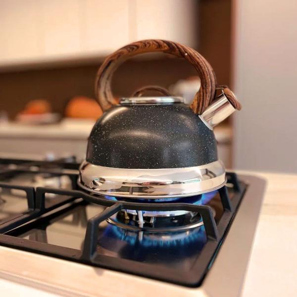 Chaleira Roma Com Apito 2,7L Indução em Aço Inox Granito 4875/119 Brinox Imagem de Chaleira Roma Com Apito 2,7L Indução em Aço Inox Granito 4875/119 Brinox