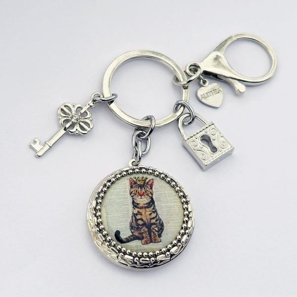 Chaveiro Pingente Relicário Fotos Resina Gato Rei Prateado - Regina Bijoux Imagem de Chaveiro Pingente Relicário Fotos Resina Gato Rei Prateado