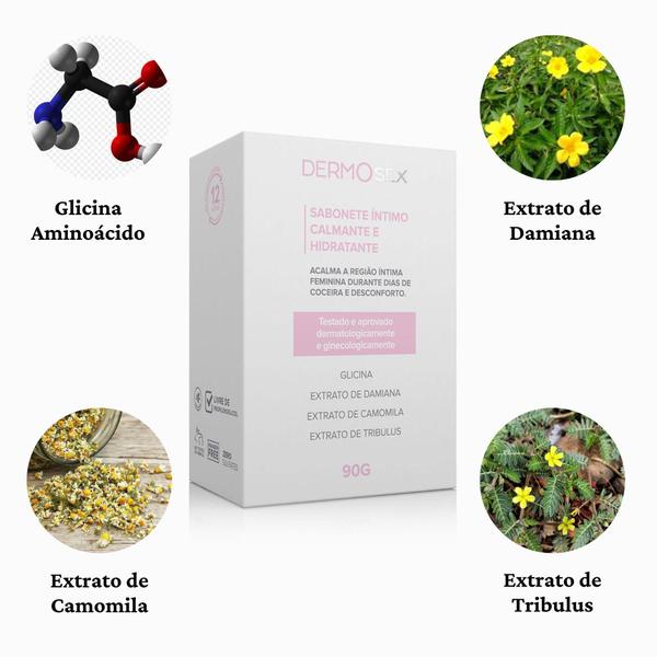 Imagem de Cheiro Ruim Na Parte Intima Kit Da Linha Especial Dermosex