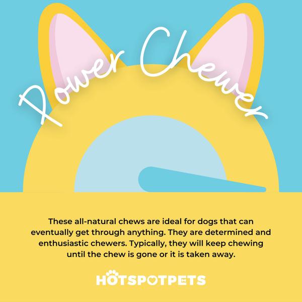 Chifres de veado para cães Hotspot Pets Premium com mais de 18 cm de largura Imagem de Chifres de veado para cães Hotspot Pets Premium com mais de 18 cm de largura