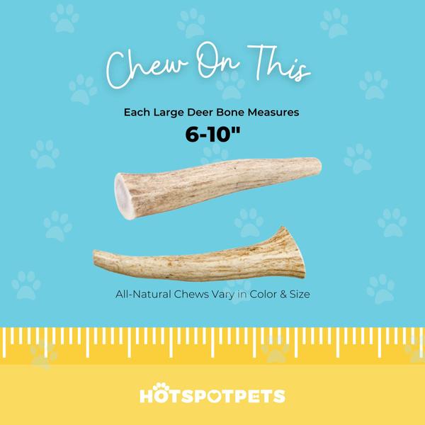 Chifres de veado para cães Hotspot Pets Premium com mais de 18 cm de largura Imagem de Chifres de veado para cães Hotspot Pets Premium com mais de 18 cm de largura