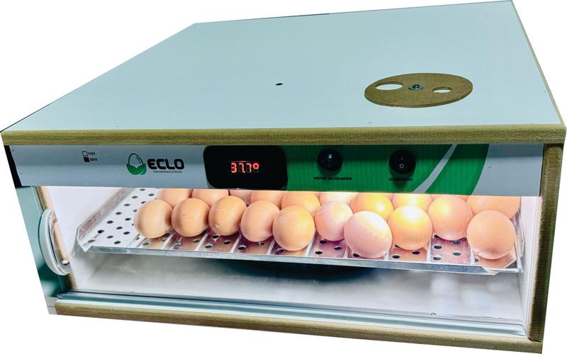 Imagem de Chocadeira Automática 50 Ovos de Galinha  + Ovoscópio