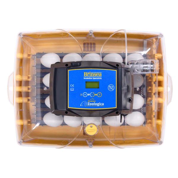 Chocadeira digital automática controle de umidade - Brinsea Ovation 28 Zoologica Imagem de Chocadeira digital automática controle de umidade - Brinsea Ovation 28 Zoologica