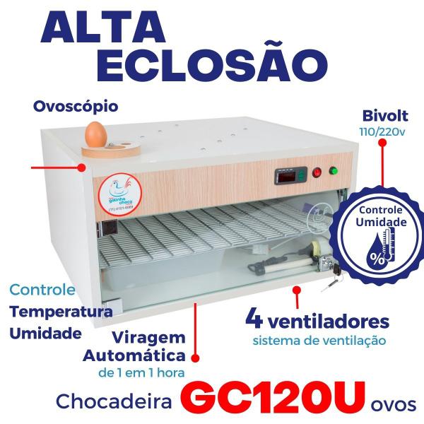 Imagem de Chocadeira Elétrica ALTA ECLOSÃO Automática 120 ovos Bivolt com 4 ventiladores e controle de Temperatura e Umidade Bivolt  