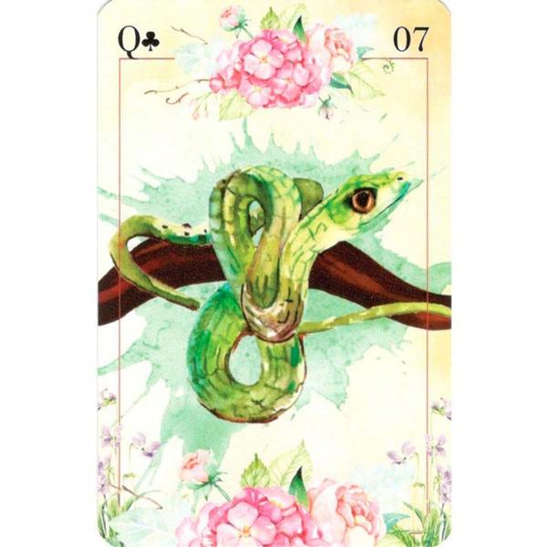 Imagem de Cigana Carmela Lenormand - Baralho Cigano