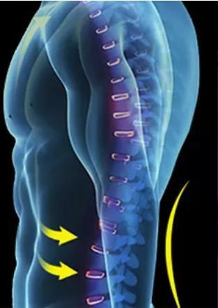 Imagem de Cinta Ergonômica Reforçada Proteção Da Coluna Abdominal Cargas  Colete EPI Segurança Carregar Peso