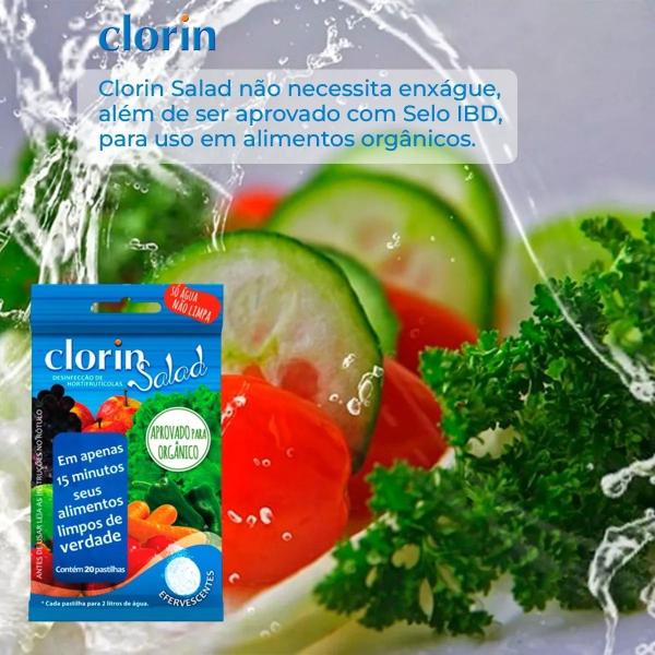 Imagem de Clor-in salad higienizador de hortifrutícolas - 20 pastilhas