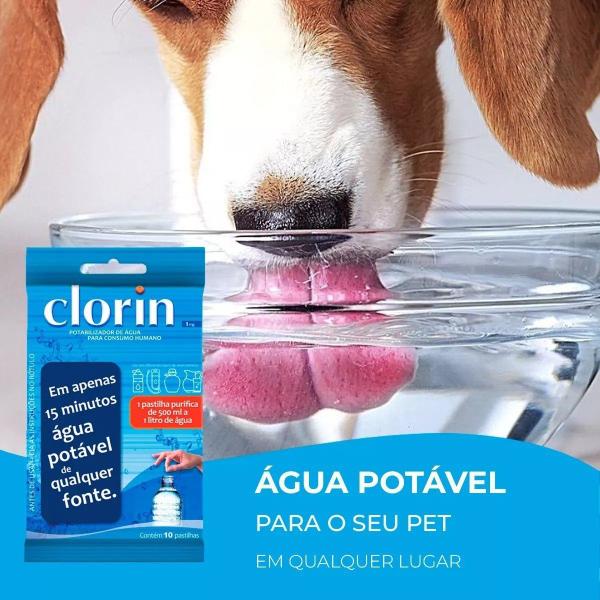 Imagem de Clorin Pastilhas Purificadoras De Água Cantil 20 Un