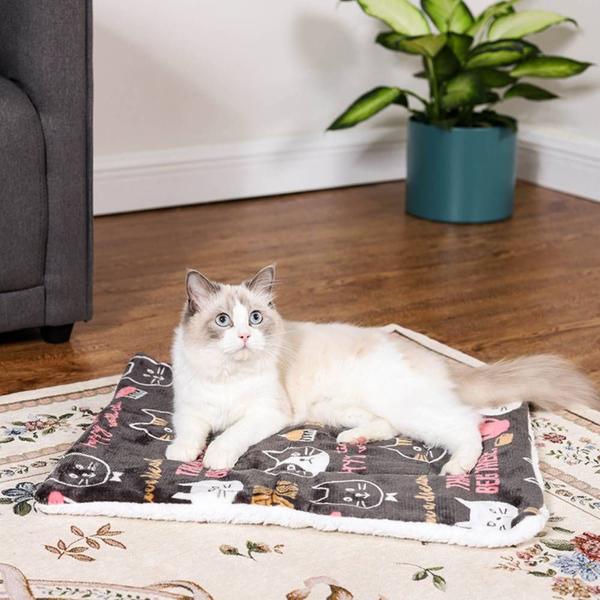 Cobertor de estimação espesso de desenho animado, gatinho quente de inverno e filhote de cachorro - Wokex Imagem de Cobertor de estimação espesso de desenho animado, gatinho quente de inverno e filhote de cachorro