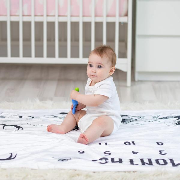 Imagem de Cobertor Milestone mensal KEMINA BLANKETS Baby Boy 50x40cm