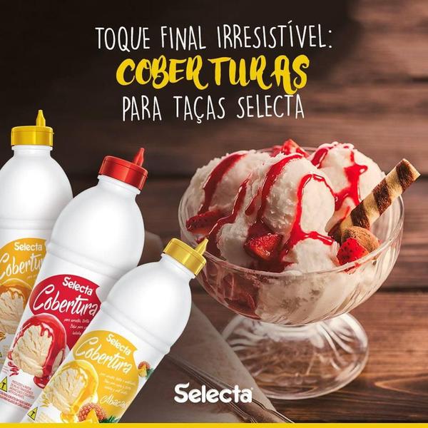 Cobertura para Sorvete e Açai Sabor Morango 1.3kg Selecta Imagem de Cobertura para Sorvete e Açai Sabor Morango 1.3kg Selecta