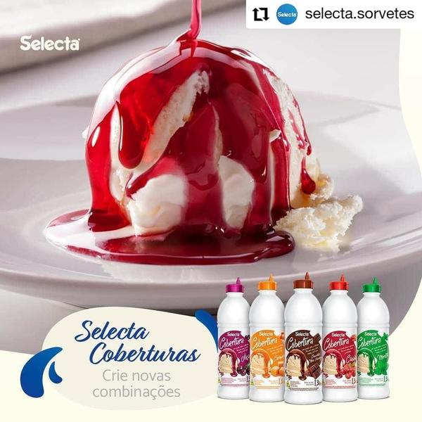 Cobertura para Sorvete e Açai Sabor Morango 1.3kg Selecta Imagem de Cobertura para Sorvete e Açai Sabor Morango 1.3kg Selecta