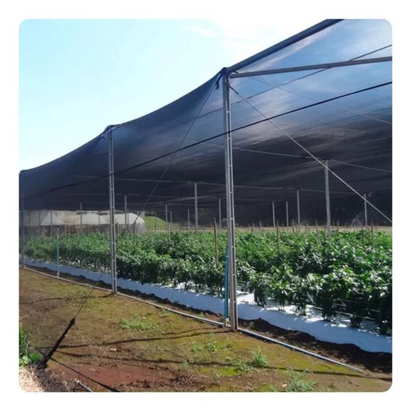 Imagem de cobertura sombrite preta 50% 6x6 M orquideas