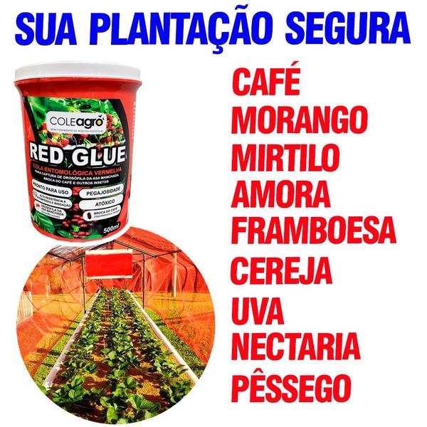 Imagem de Cola Entomológica Vermelha 500ml Red Glue Coleagro