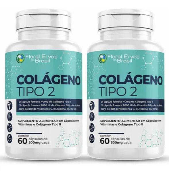 Imagem de Colágeno Tipo 2  120 Cápsulas 500 mg UC 2 Vitaminas C , E, B6 b1 B12 D3 Articulções 2 frasco x 60 Caps