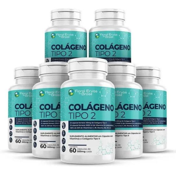 Imagem de Colágeno Tipo 2 500mg  240 Cápsulas Vitaminas C , E, B6 b1 B12 D3 Niacina  Articulções UC 2  4 frascos x 60 Cápsulas 