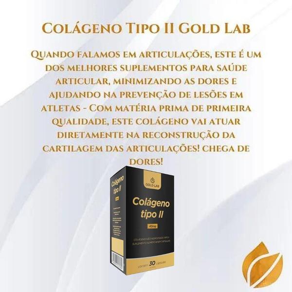 Imagem de Colágeno tipo ii gold lab com 30 cápsulas