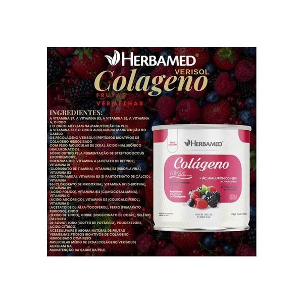 Imagem de Colágeno Verisol + Ac Hialuronico + Q10 + 17 Vitaminas e Minerais Frutas Vermelhas 200g Herbamed